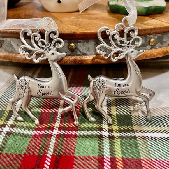 You are Special Merry Reindeer Christmas Ornaments or Gift Tags by Ganz - Picture 1 of 5